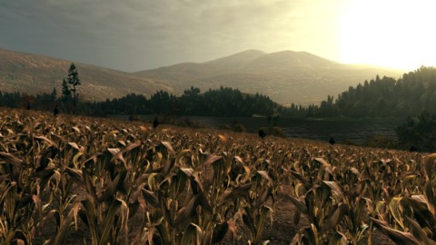 This cornfield is one of the few spots where using stealth pays off. 