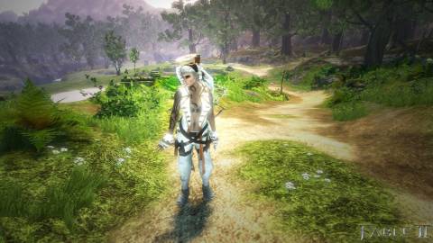 Around town or in the midst of nature, Fable 2's world is wonderful.