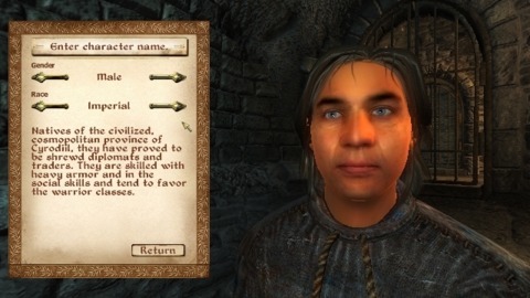 Elder Scrolls IV offers many customization options
