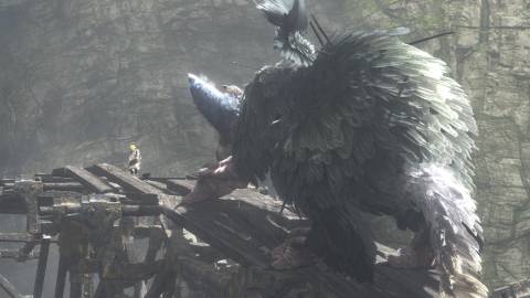 The Last Guardian has been kicked around the last few years, but Ueda says it's still happening.