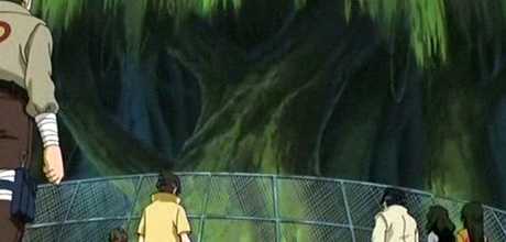 Training Ground, the Forest of Death is a large, gated area in which Konoha...