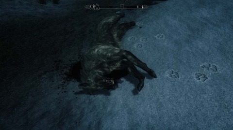 Yet another dead wolf.