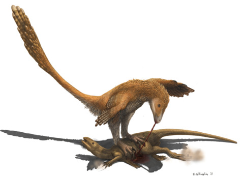 Look at that Deinonychus tearing into that Zephyrosaurus!