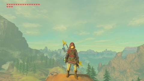 Throughout your playthrough, Link will be adorned with dozens of different clothes, weapons, and shields. Some are permanent, some aren't.