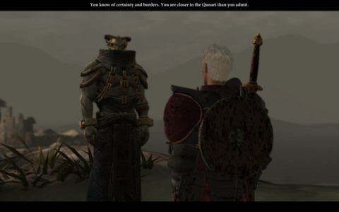 The Dragon Age universe is taken in some interesting directions.