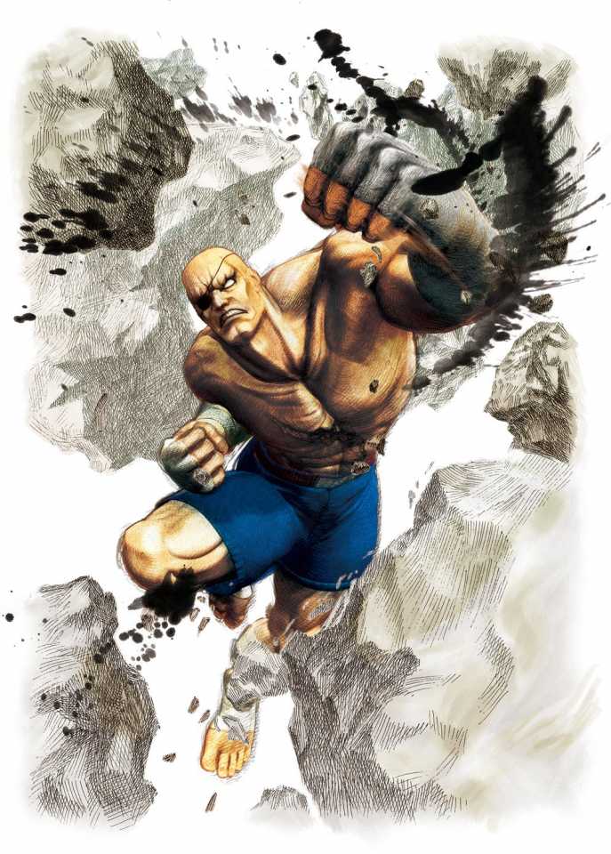  Sagat, you are a cool character in all, but why do you have to be a dick?
