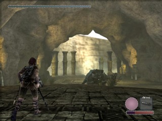The game's HUD