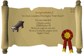 A common scroll you get after completing a quest