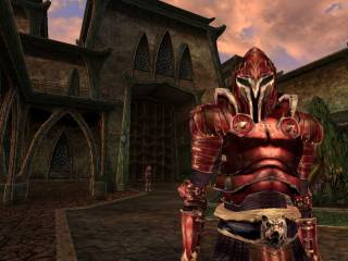 A royal guard to King Helseth, king of Morrowind.