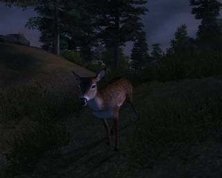 Doe, a deer, a female deer