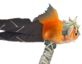  Pictured: a JRPG goldfish.