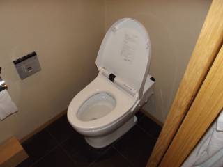 A $500 toilet seat?