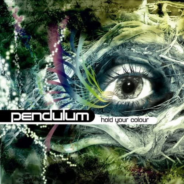  Pendulum - Hold Your Colour