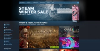 Best of luck surviving this years' Steam Winter Sale.