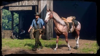 How much do you actually love your horse in Red Dead Redemption 2?