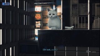 Ah, yes, I can always use a good video game cat in my life.