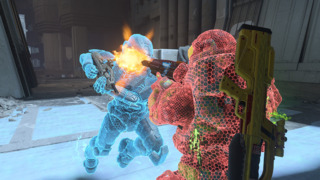 Now is the time to read about Halo face punching!