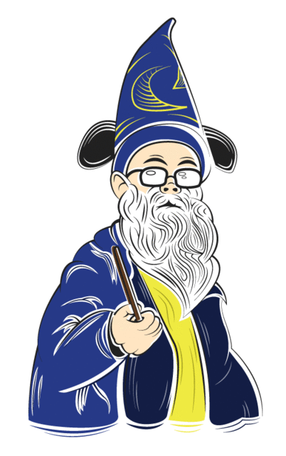 Just a picture of a Wizard.