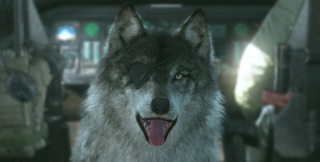 Gaming's best dog. Fight me.