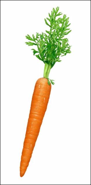 Argh, you puny carrot !