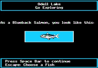 The Blueback Salmon was chosen to play as