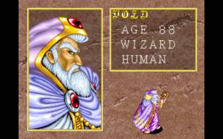 Void the Human Wizard