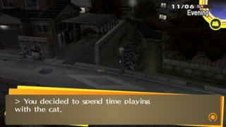 Where's Nanako? I dunno, let's play with this cat