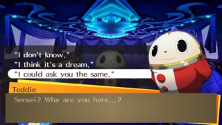 We continue to look for Teddie...