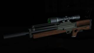 W2000 Sniper Rifle