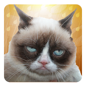 Grumpy Cat: Unimpressed