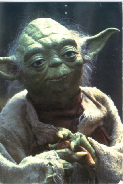 Yoda, looking good for 900