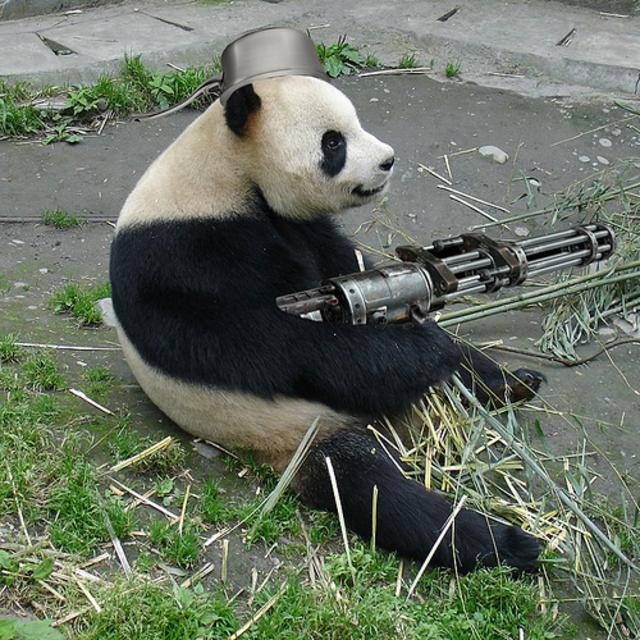 For panda with a gatling gun.
