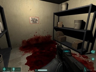 Random pools of blood are everywhere