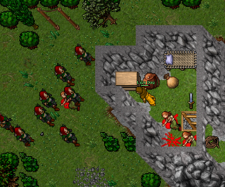 A player under attack from Amazons (notice the change in graphics from the last picture).