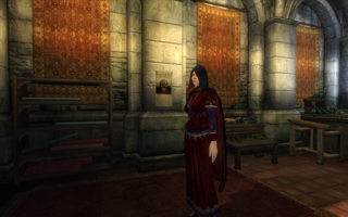 So that's better. I also got a cloak! I really like this cloak mod, it fits with some clothes/armors better than others.