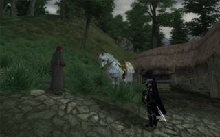 My horse suddenly decides to show up again.