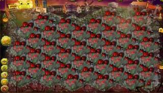 A field of Killer Tomatoes!