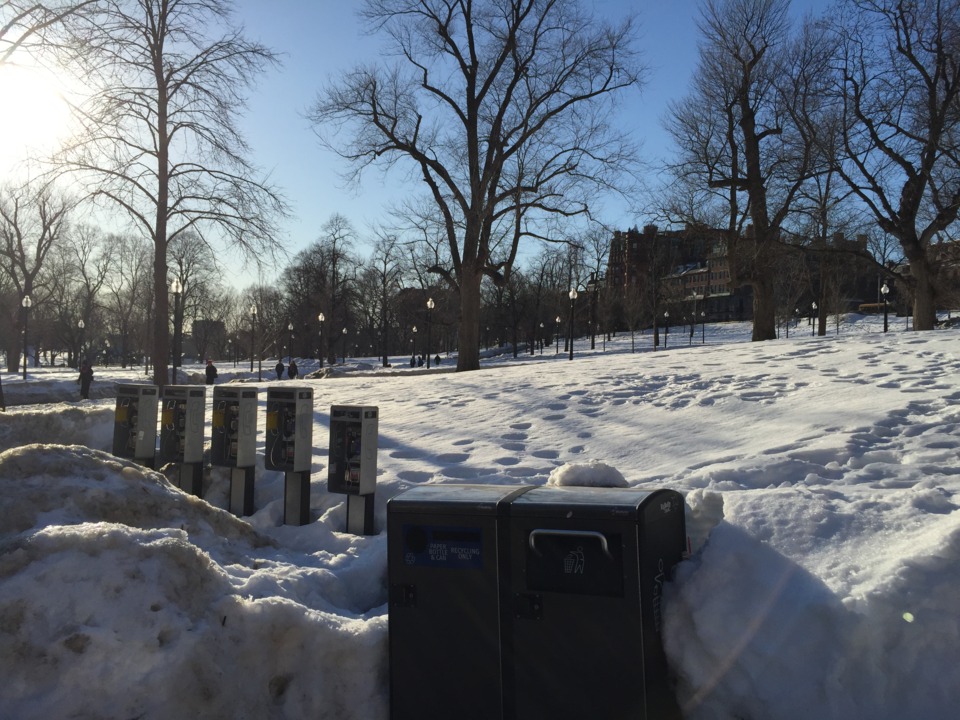 The Boston Common with uncommon pay phones covered in an uncommon amount of snow.