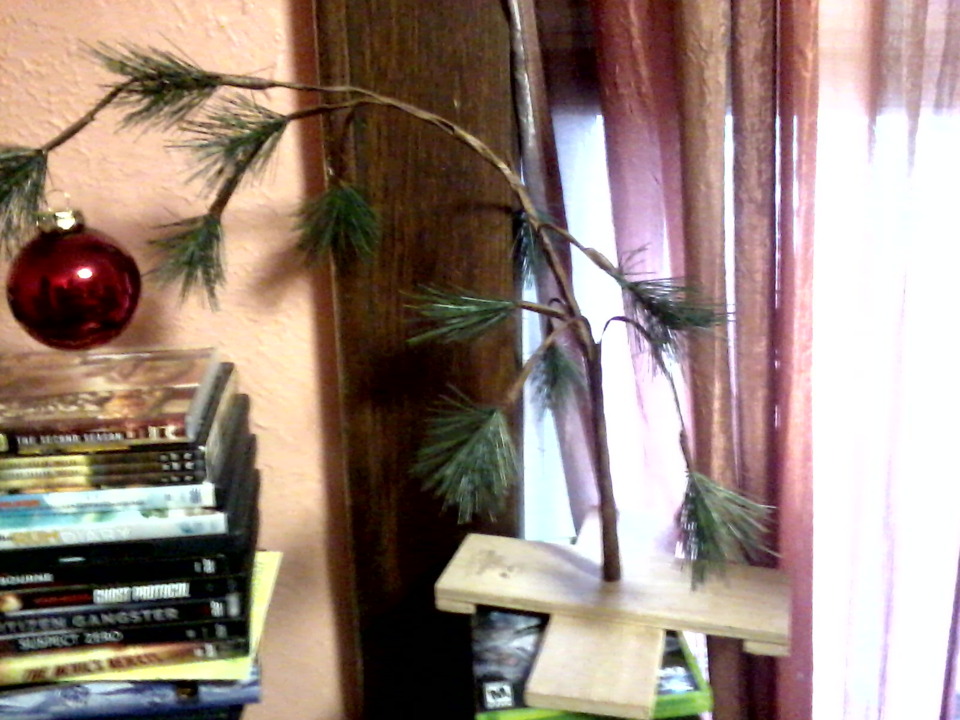 This is my tree. God willing, I won't ever need to get another.