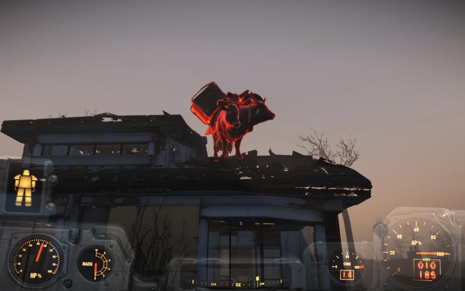 There's a Brahmin on my roof.