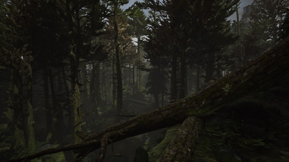 What Remains of Edith Finch lets you explore the environs outside the house (which you can see in the top right there.) There's nothing to do there though. No collectibles, nothing to interact with, just a bunch of woods. Looks nice though.