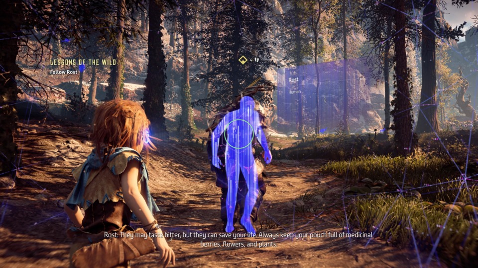 Everything Aloy knows she learned from Rost. She accepts his death with little more than a shrug and spends the game caring much more about Elizabet, who she has never met.