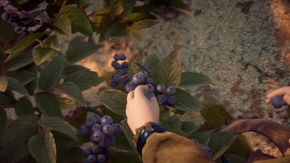 And the winner for best CG Blueberries goes to...