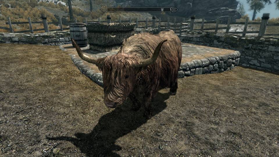 When Bethesda will get around to making the poor buffalo as bad ass as Skyrim's horse?