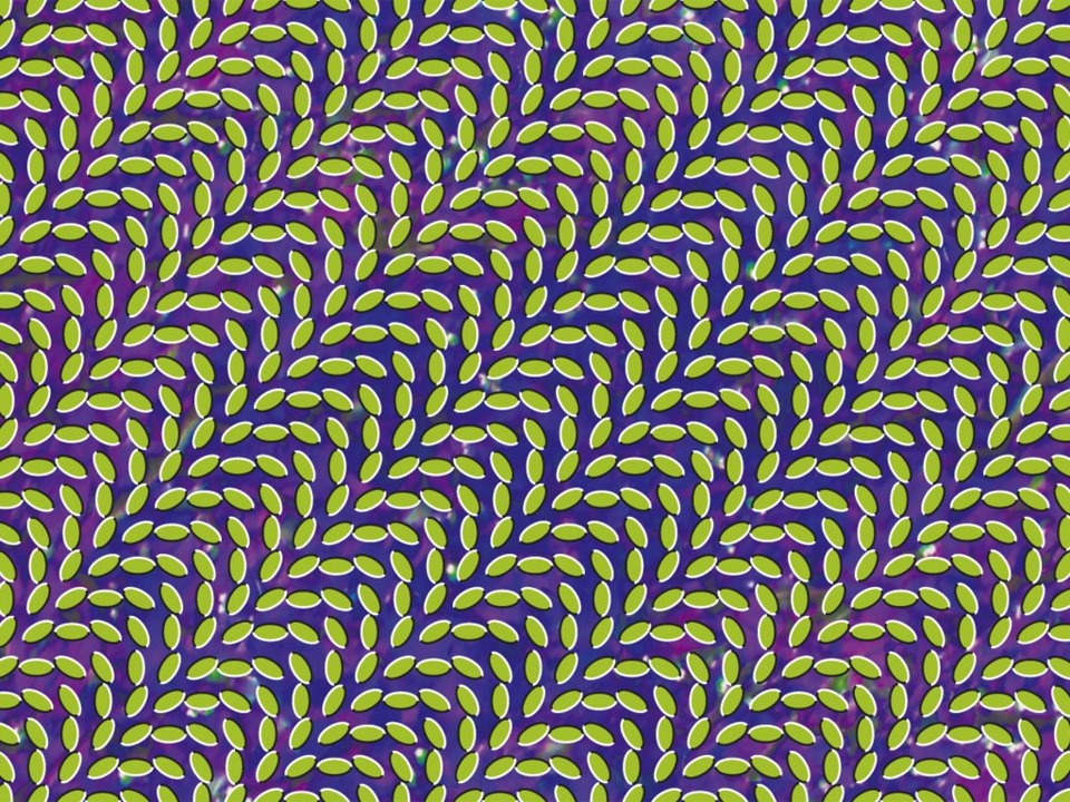 Merriweather Post Pavilion By Animal Collective  