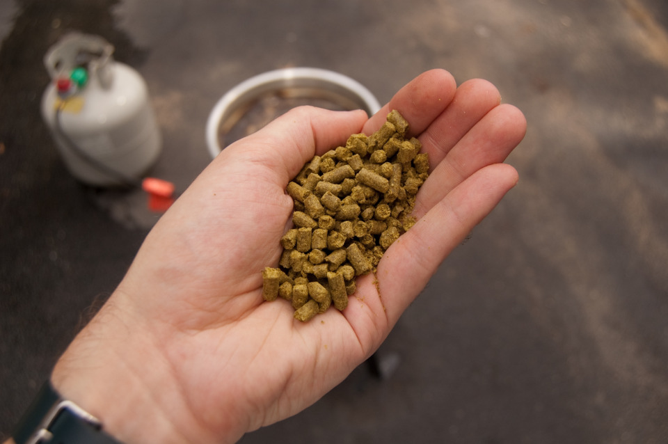 These are pellet hops, hop flowers that have been ground and processed to be more potent.