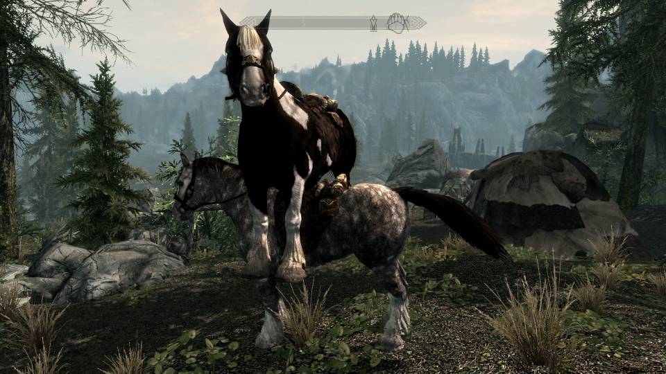 Skyrim - Perfection Absolute