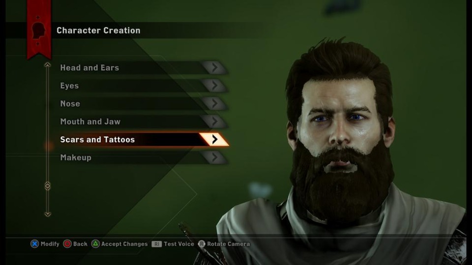Here's my character, in all his beardly glory.