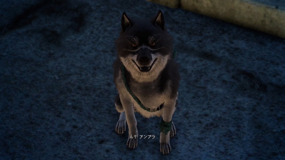 I really meant to get a screenshot of my stats screen or something, but...here's that dog from FFXV instead.