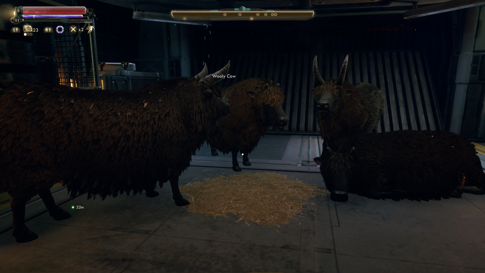 These wooly cows just showed up on my ship once, with no explanation, and then disappeared. I wish they stayed.